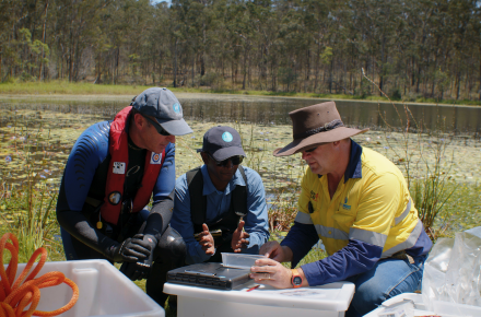 A diver wearing a life jacket, a man wearing a baseball cap and another man in high vis and a wide brimmed hair crouch over a tub containing cabomba weevils