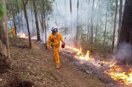 Planned burn Hinze MTB trails