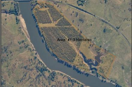 Outlined in yellow the area subject to planned burn at OShea Crossing Lake Wivenhoe
