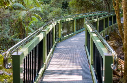 Metal bridge with sage green handrails through rainforest