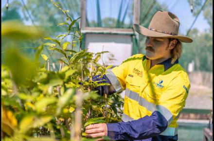 Seqwater ranger at Hinze Dam inspecting some of the conservation area.