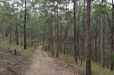 Postmans Track North Pine
