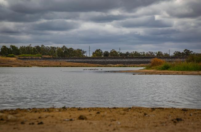 View of Lake Dyer or Bill Gunn Dam
