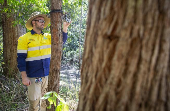 Seqwater Field Ranger Mitchell Thomas-Carr sets up wildlife surveillance equipment within Hinze Dam's catchment.jpg